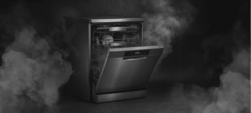 Dishwasher Repair